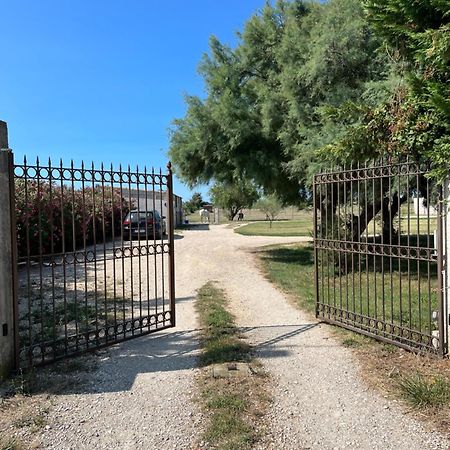 « La Parenthese » Gite En Camargue Арль Экстерьер фото