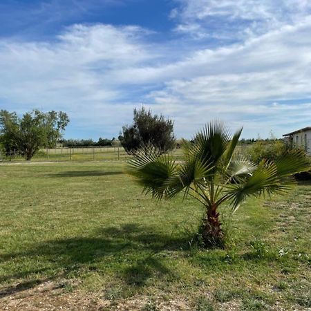 « La Parenthese » Gite En Camargue Арль Экстерьер фото