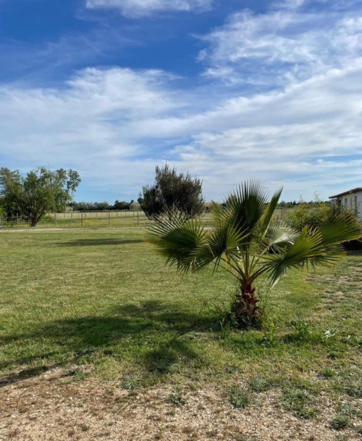 « La Parenthese » Gite En Camargue Арль Экстерьер фото
